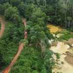 An aerial view of a forest in Ghana damaged by galamsey