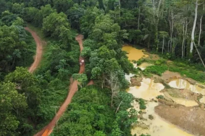 An aerial view of a forest in Ghana damaged by galamsey