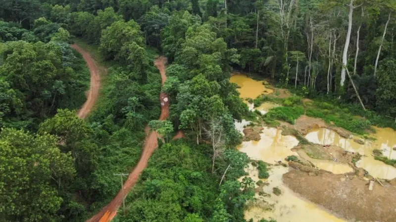 An aerial view of a forest in Ghana damaged by galamsey